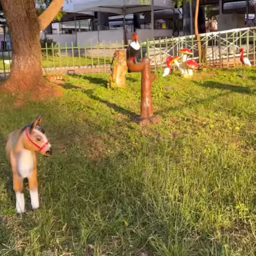 Praça da Matriz agora tem uma fazendinha!